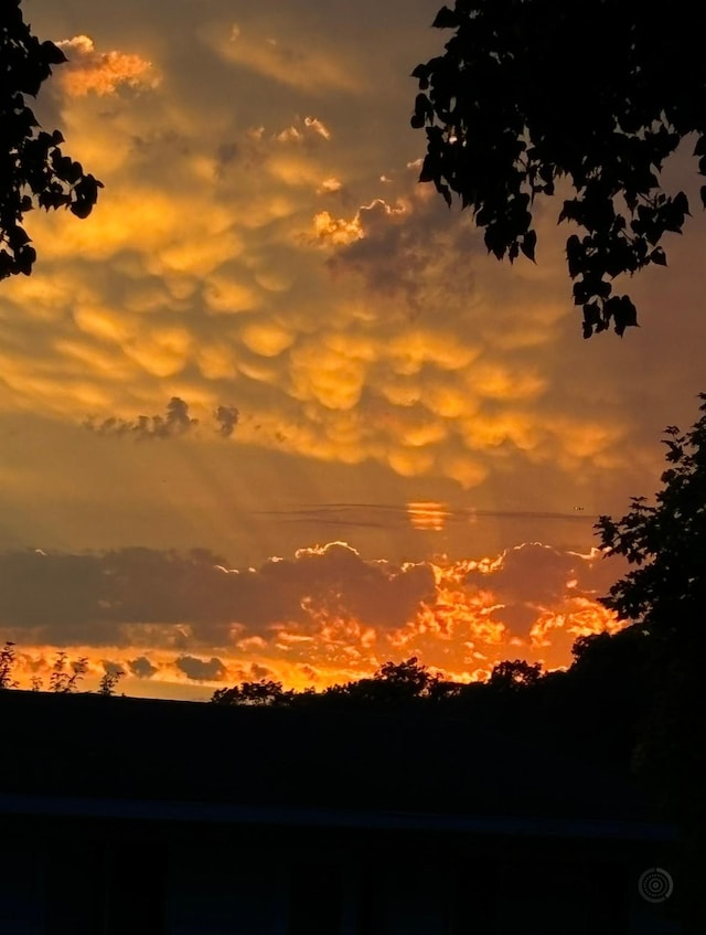 20170 Dunbar Ave, Farmington, MN 55024 - view of nature at dusk