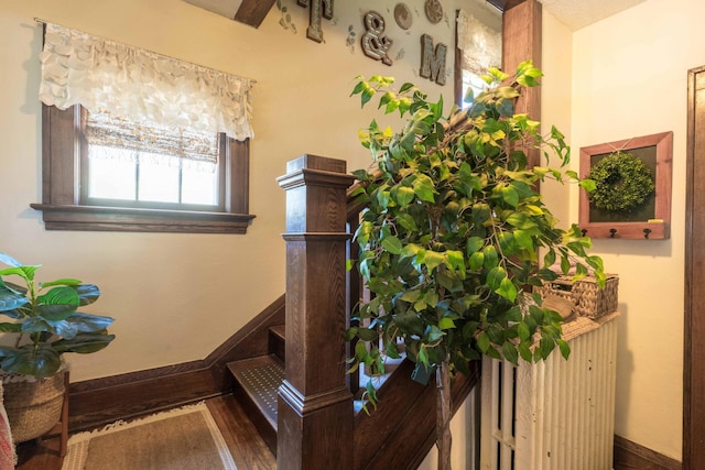 312 Vine St, Fergus Falls, MN 56537 - interior details featuring baseboards and wood finished floors