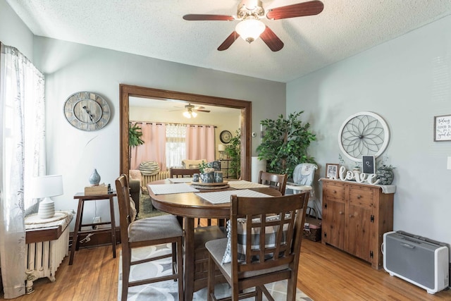 312 Vine St, Fergus Falls, MN 56537 - dining space with a textured ceiling, light wood-style flooring, and ceiling fan