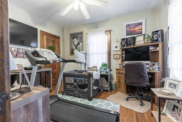 312 Vine St, Fergus Falls, MN 56537 - home office with ceiling fan, a textured ceiling, a healthy amount of sunlight, and wood finished floors