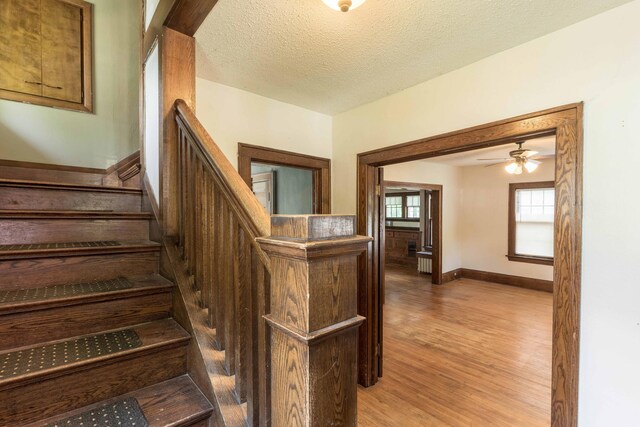 312 Vine St, Fergus Falls, MN 56537 - photo 59
