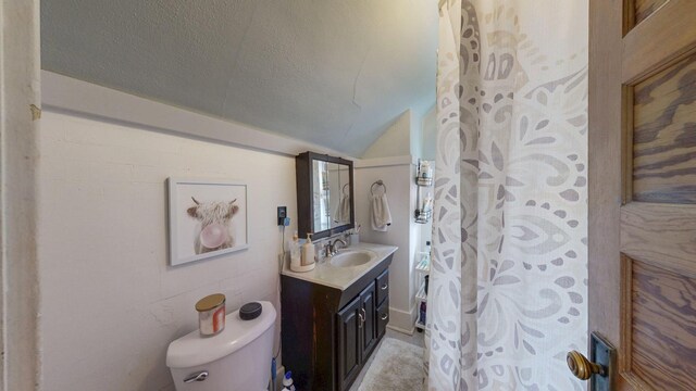 621 Fillmore St SE, Chatfield, MN 55923 - full bath featuring toilet, lofted ceiling, vanity, a textured ceiling, and a shower with curtain