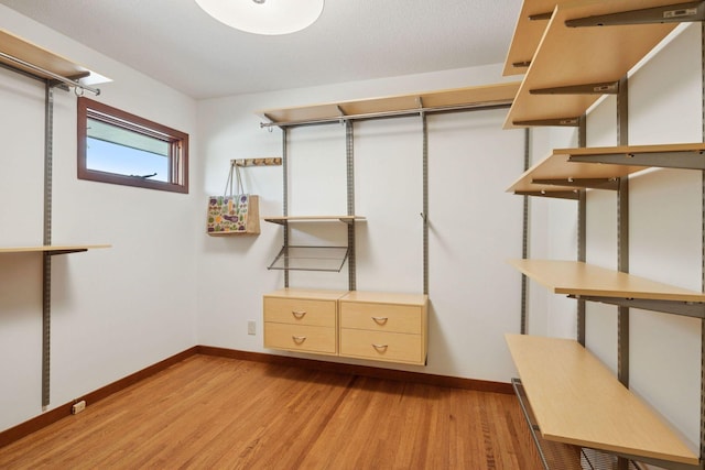 7000 Lanham Ln, Edina, MN 55439 - spacious closet with light wood-style floors