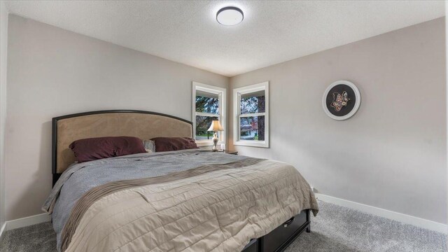 bedroom featuring carpet floors, baseboards, and a textured ceiling