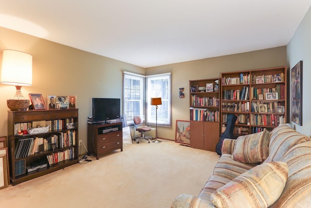 living area with carpet floors