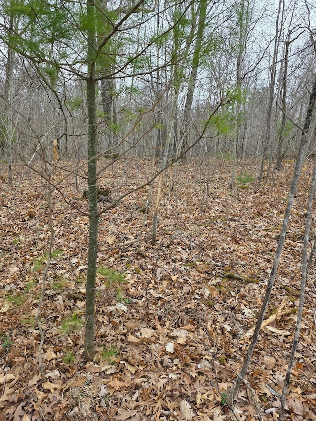 LOT9 Lukes Ln, Scott Twp, WI 54830