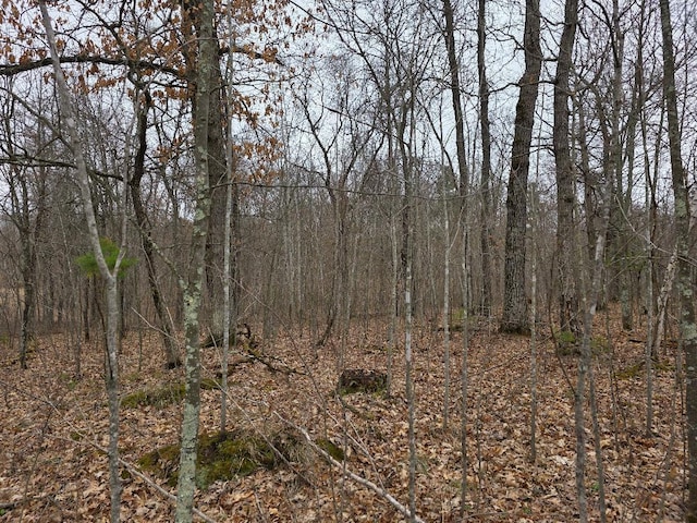 LOT9 Lukes Ln, Scott Twp, WI 54830