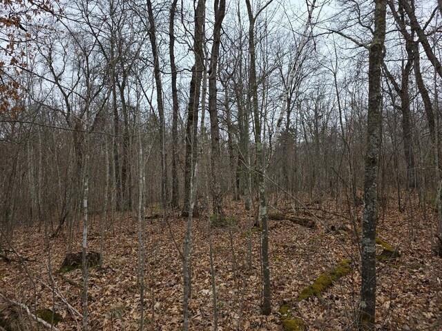 LOT9 Lukes Ln, Scott Twp, WI 54830