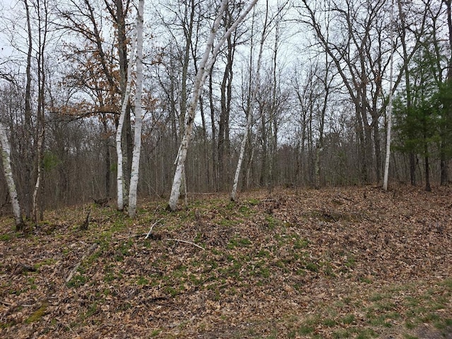 LOT9 Lukes Ln, Scott Twp, WI 54830
