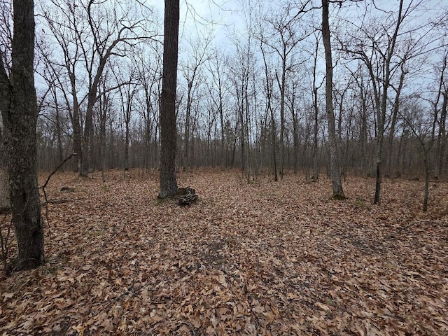 LOT9 Lukes Ln, Scott Twp, WI 54830
