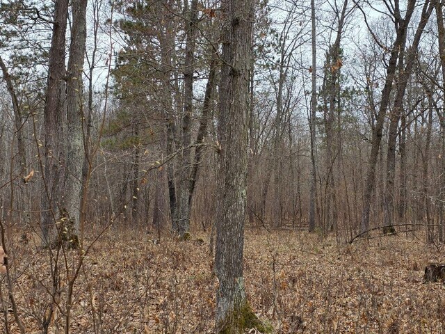 LOT9 Lukes Ln, Scott Twp, WI 54830