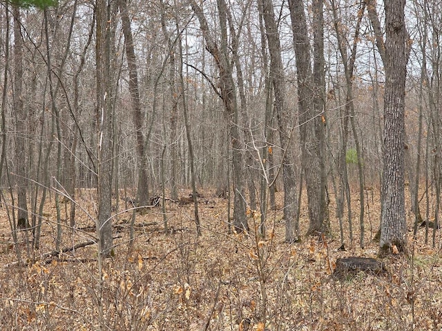 LOT9 Lukes Ln, Scott Twp, WI 54830