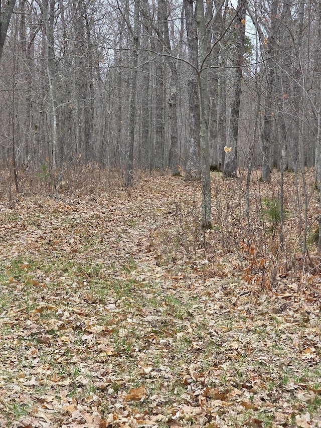 LOT9 Lukes Ln, Scott Twp, WI 54830