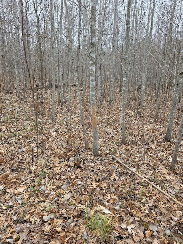LOT9 Lukes Ln, Scott Twp, WI 54830