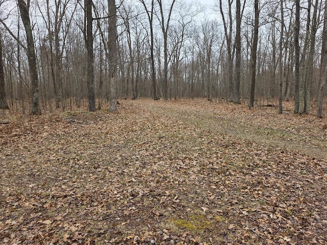 LOT9 Lukes Ln, Scott Twp, WI 54830