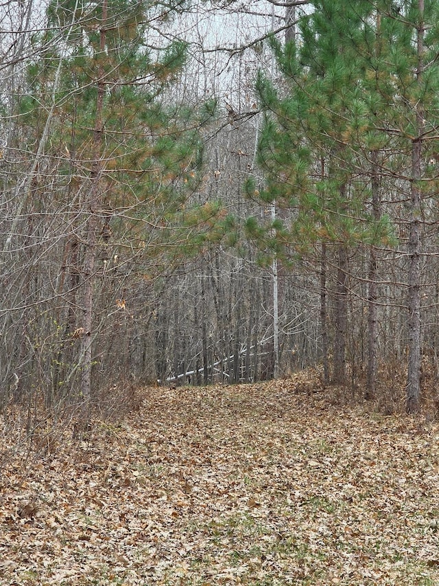 LOT9 Lukes Ln, Scott Twp, WI 54830