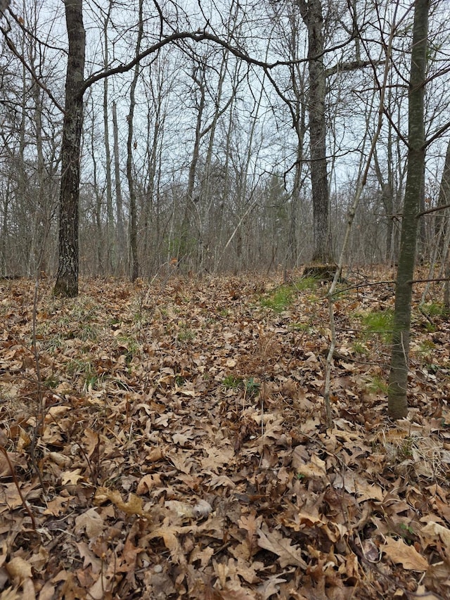 LOT9 Lukes Ln, Scott Twp, WI 54830