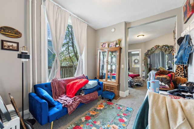 bedroom with carpet floors, baseboards, and multiple windows