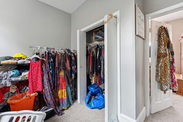 spacious closet with carpet