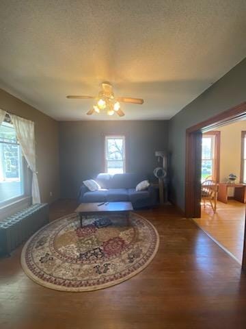 528 Broadway St, Spring Valley, MN 55975 - living room featuring ceiling fan and wood finished floors