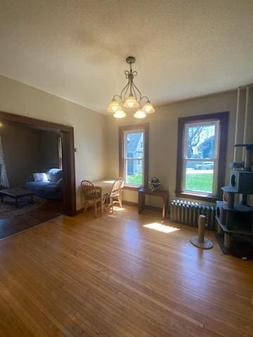 528 Broadway St, Spring Valley, MN 55975 - dining area featuring an inviting chandelier, a wood stove, radiator heating unit, and wood finished floors