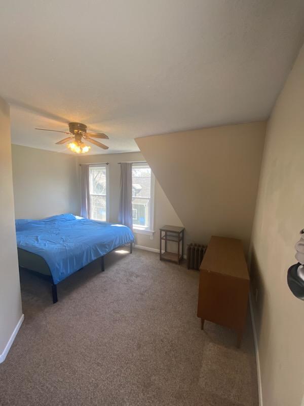 528 Broadway St, Spring Valley, MN 55975 - bedroom featuring carpet, baseboards, a ceiling fan, and radiator heating unit