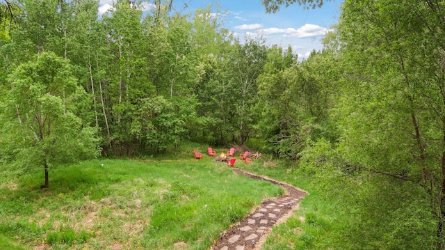 view of yard featuring a wooded view