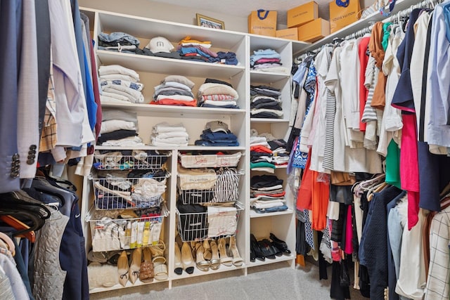 walk in closet featuring carpet