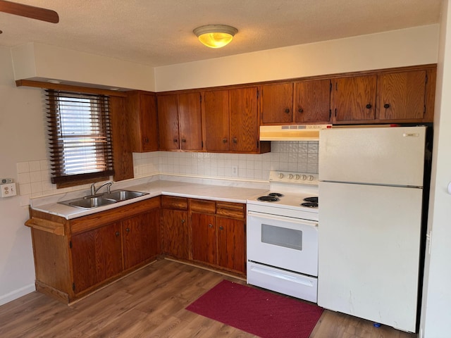 kitchen featuring brown cabinetry, white appliances, under cabinet range hood, a sink, and backsplash