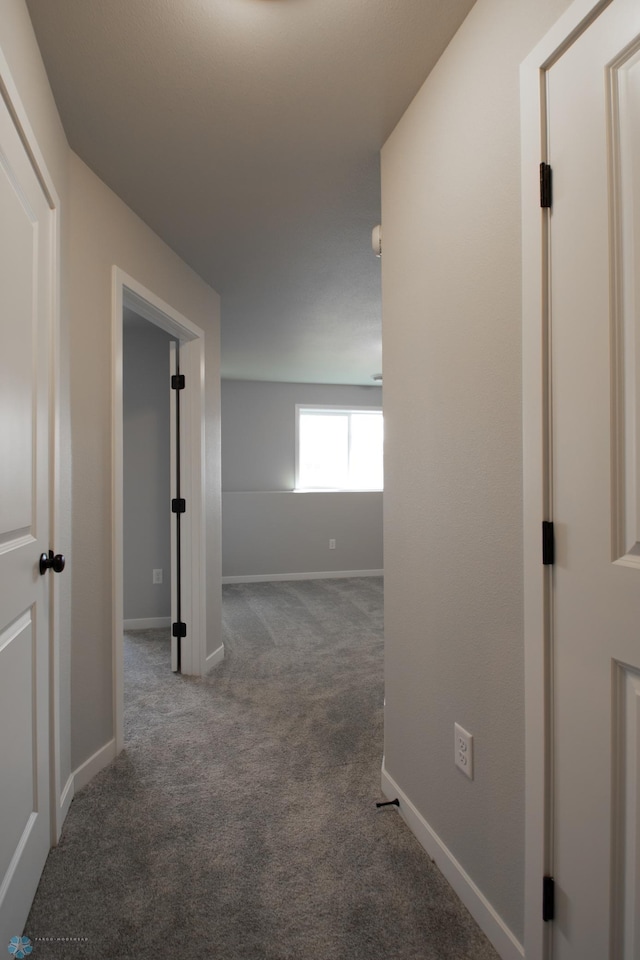 1129 Jill Dr W, West Fargo, ND 58078 - photo 26