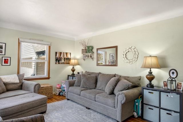 living room featuring wood finished floors