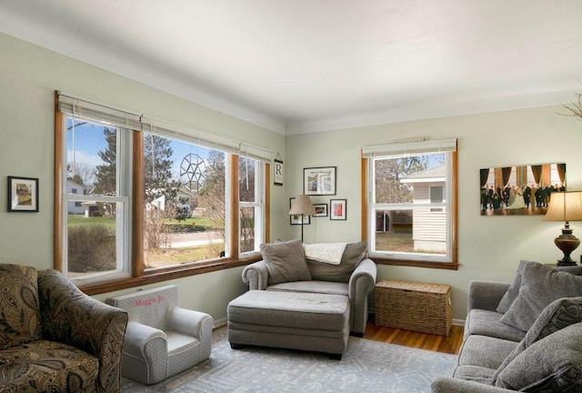 living room with baseboards and wood finished floors