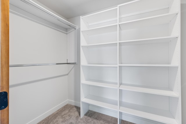 5345 45th Ave S, Minneapolis, MN 55417 - walk in closet featuring carpet