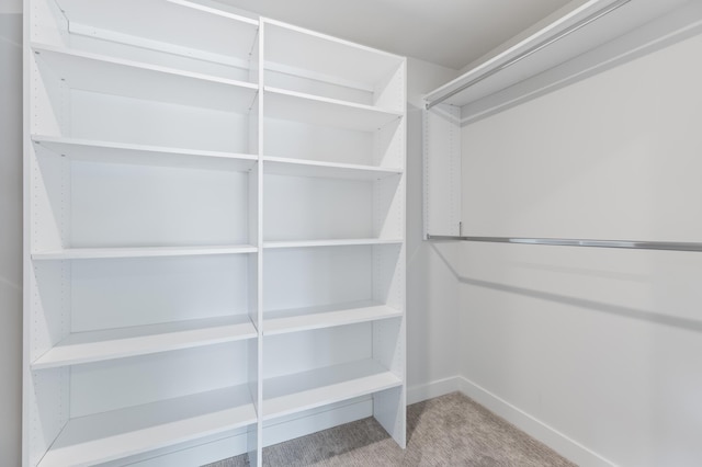 5345 45th Ave S, Minneapolis, MN 55417 - spacious closet with carpet