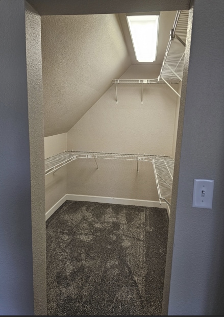walk in closet featuring carpet and vaulted ceiling