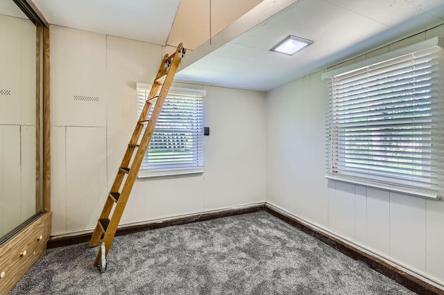 5159 Fawn Lake Dr NE, Linwood Twp, MN 55079 - view of carpeted empty room