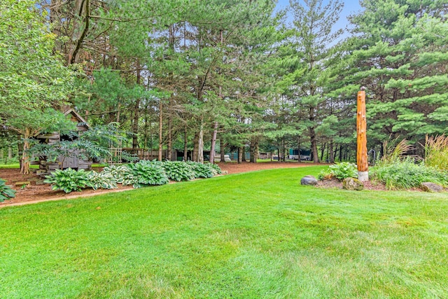 view of yard