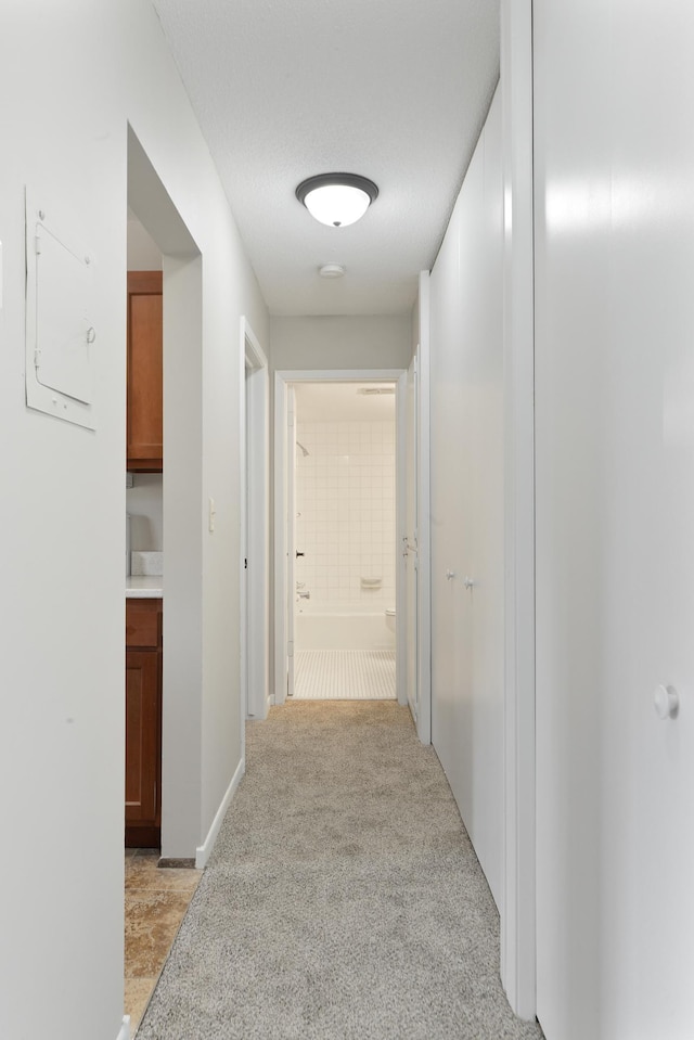 4387 Wilshire Blvd Unit 202, Mound, MN 55364 - corridor with light colored carpet