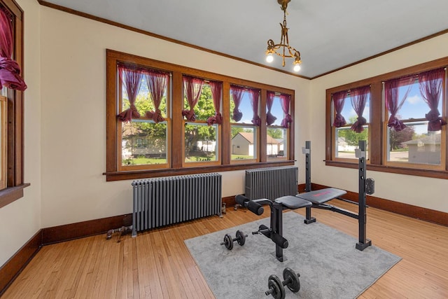 205 2nd St SW, Blooming Prairie, MN 55917 - exercise area with radiator, baseboards, healthy amount of natural light, crown molding, and light wood finished floors