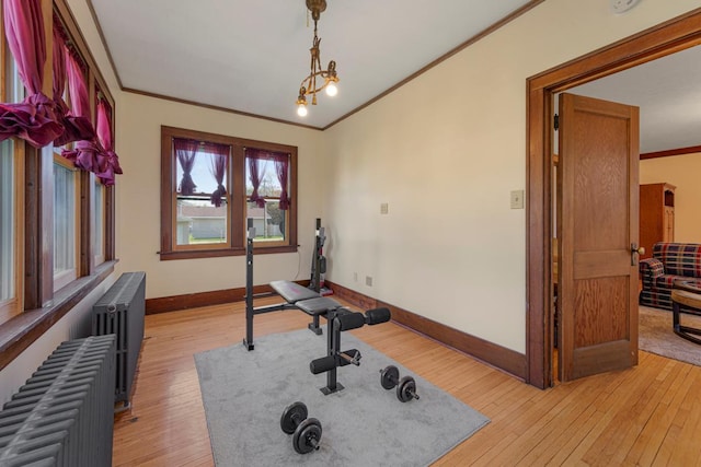 205 2nd St SW, Blooming Prairie, MN 55917 - workout area with radiator, crown molding, light wood-style flooring, and baseboards