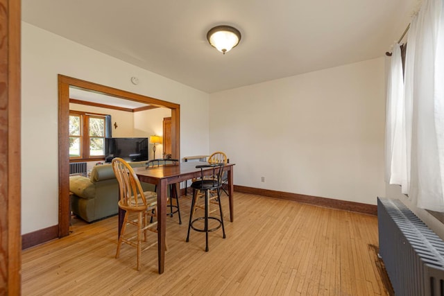 205 2nd St SW, Blooming Prairie, MN 55917 - dining area with radiator heating unit, baseboards, and light wood-type flooring