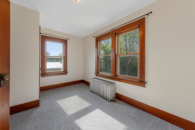205 2nd St SW, Blooming Prairie, MN 55917 - carpeted spare room featuring radiator heating unit and baseboards
