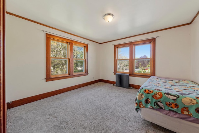205 2nd St SW, Blooming Prairie, MN 55917 - carpeted bedroom featuring radiator, multiple windows, baseboards, and ornamental molding