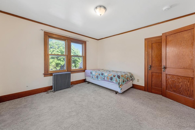 205 2nd St SW, Blooming Prairie, MN 55917 - bedroom featuring radiator, crown molding, carpet, and baseboards