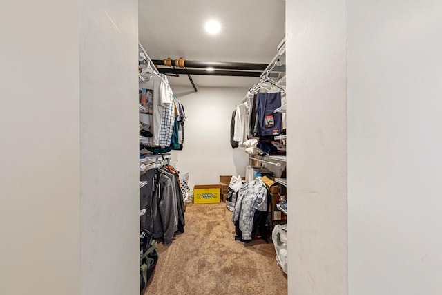 205 2nd St SW, Blooming Prairie, MN 55917 - spacious closet featuring carpet flooring