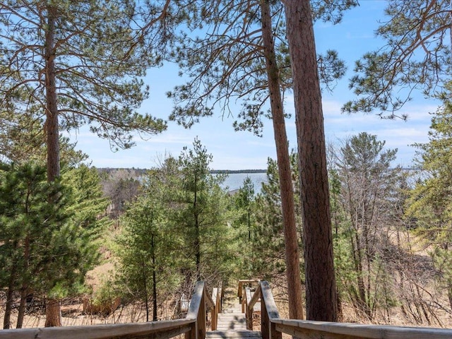 water view with a forest