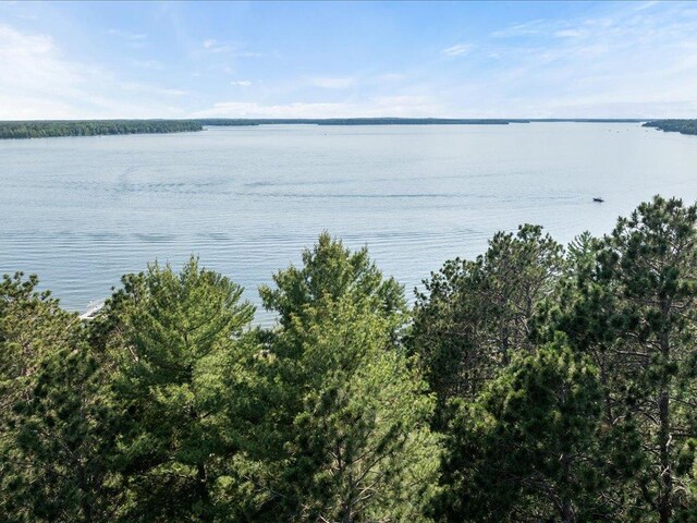 12125 Whitefish Ave, Crosslake, MN 56442 - photo 52