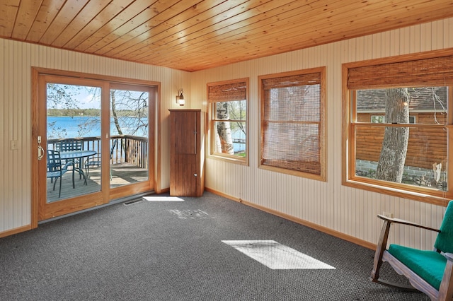 10209 Amery Ave NW, Silver Creek Twp, MN 55362 - unfurnished sunroom featuring a water view