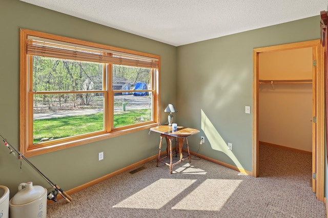 10209 Amery Ave NW, Silver Creek Twp, MN 55362 - carpeted bedroom featuring multiple windows, a walk in closet, a textured ceiling, and baseboards