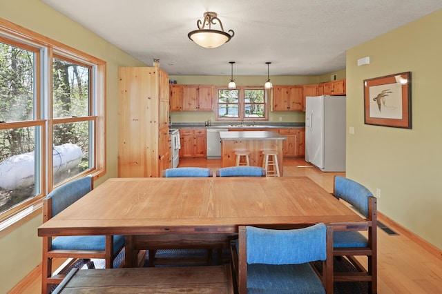 10209 Amery Ave NW, Silver Creek Twp, MN 55362 - dining area with baseboards and light wood-style flooring